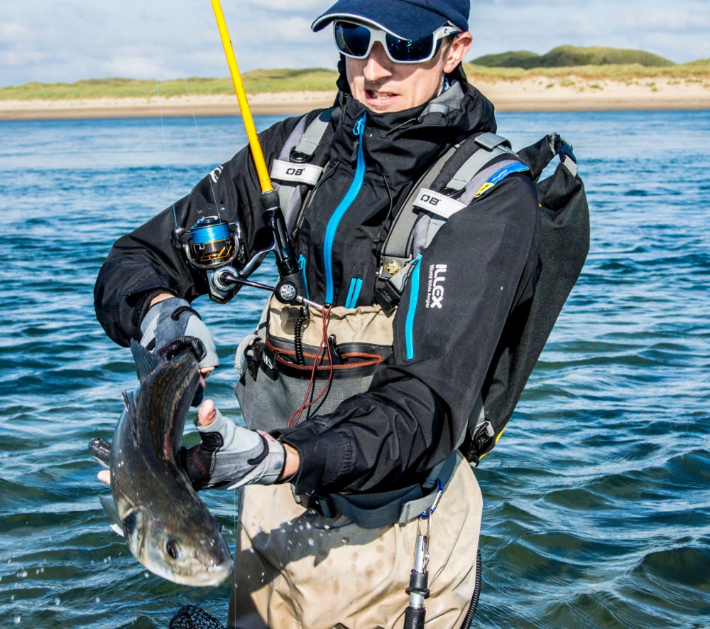 David Curtis, Director of BASS