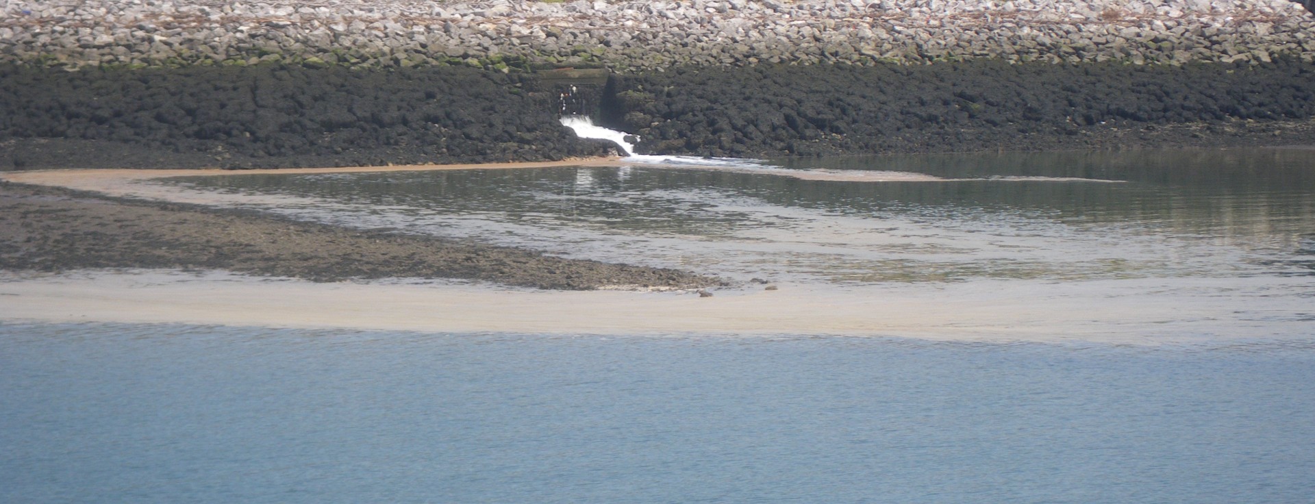 Combined Sewage Overflow