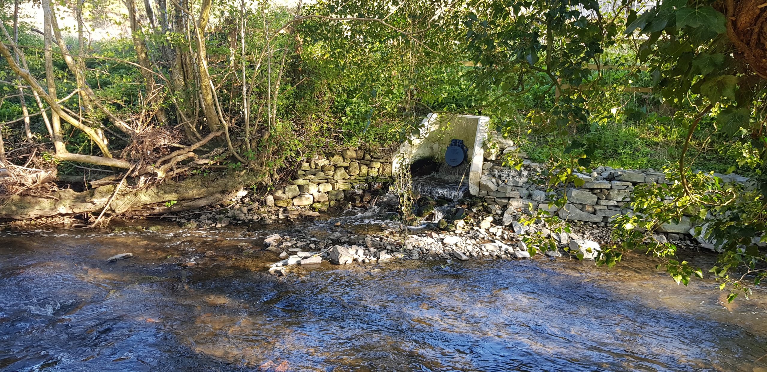 Sewage Outfall discharging into river